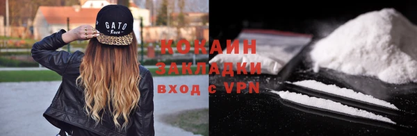крисы Баксан