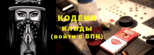 крисы Баксан