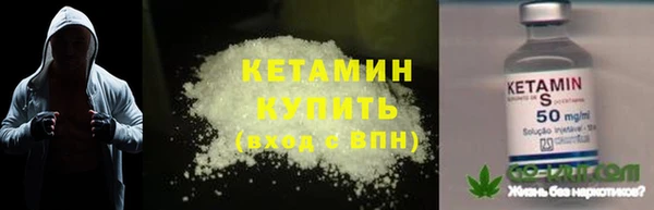 крисы Баксан